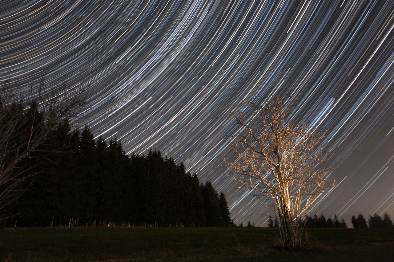 Beobachtung am 02.10.2014
